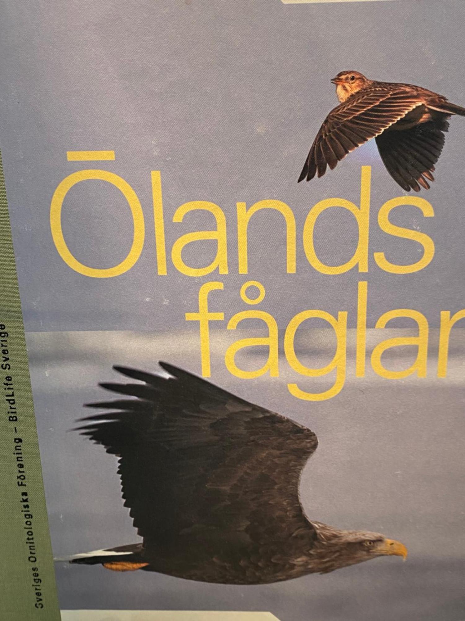 Idyliska Boende Mitt Pa Oeland Apartman Färjestaden Kültér fotó